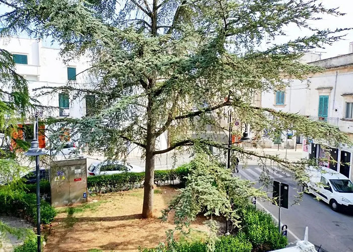 Lejlighed Da Zio Lello